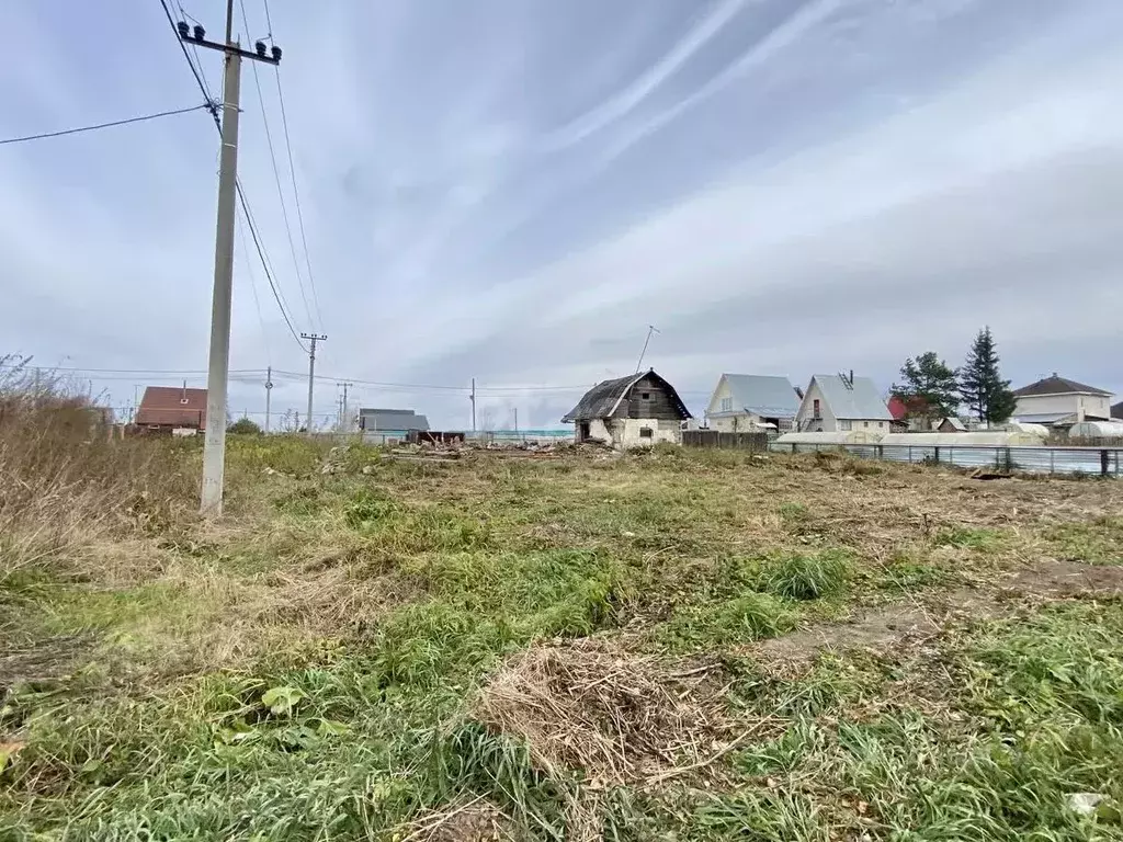 Участок в Новосибирская область, Новосибирский район, Кудряшовский ... - Фото 1