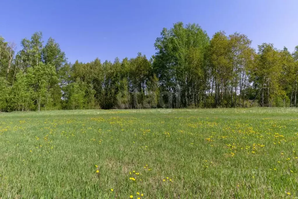 Участок в Тюменская область, Тюмень  (8.2 сот.) - Фото 1