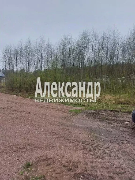 Участок в Ленинградская область, Выборг проезд Береговой (11.0 сот.) - Фото 1