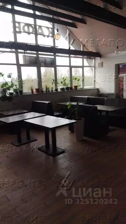 Торговая площадь в Московская область, Истра муниципальный округ, д. ... - Фото 2