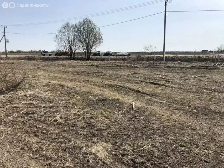Участок в Волосовский район, Калитинское сельское поселение, посёлок ... - Фото 1