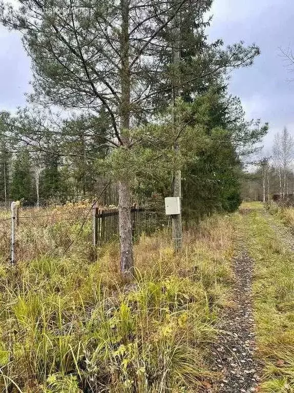 Участок в Новгородский район (10 м) - Фото 2
