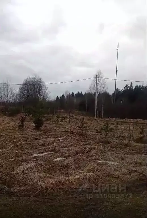 Участок в Московская область, Можайский муниципальный округ, д. ... - Фото 0