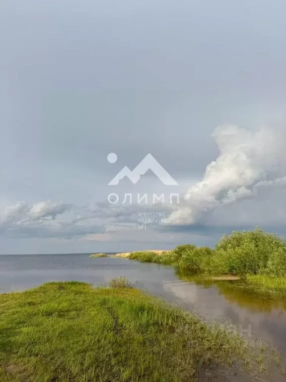 Участок в Вологодская область, д. Новое (Борисовский сельсовет)  (30.0 ... - Фото 1