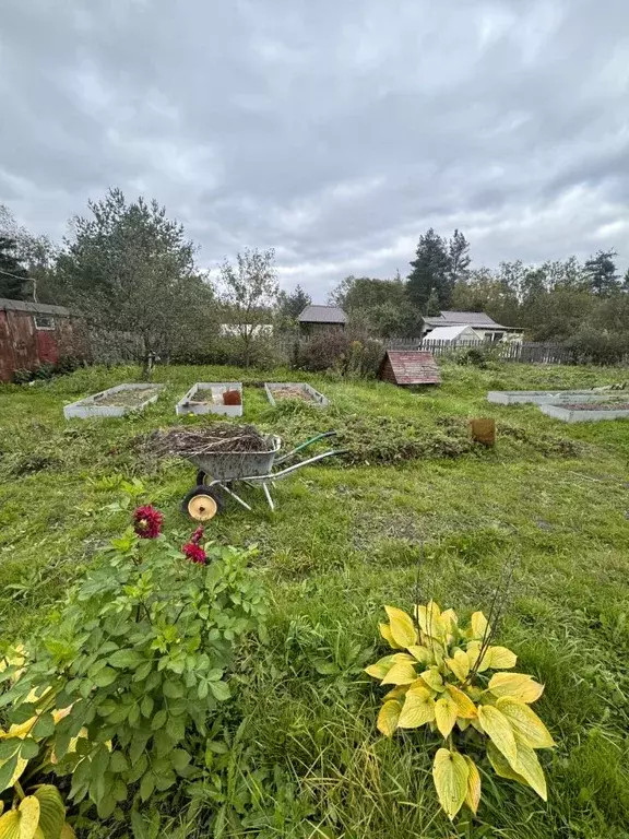 Участок в Новгородская область, Новгородский район, Ермолинское с/пос, ... - Фото 2