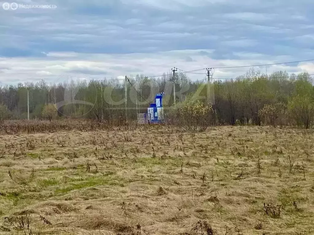 Участок в Тюменский муниципальный округ, село Горьковка (20 м) - Фото 2