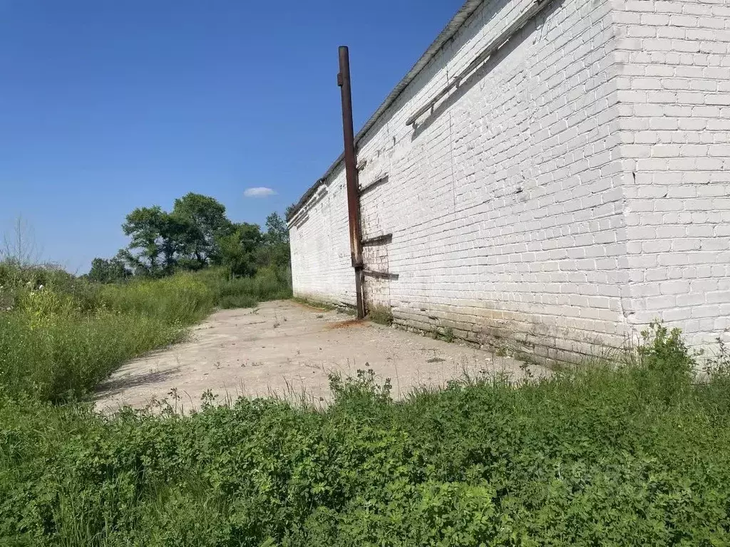 Помещение свободного назначения в Амурская область, с. Тамбовка ул. ... - Фото 2