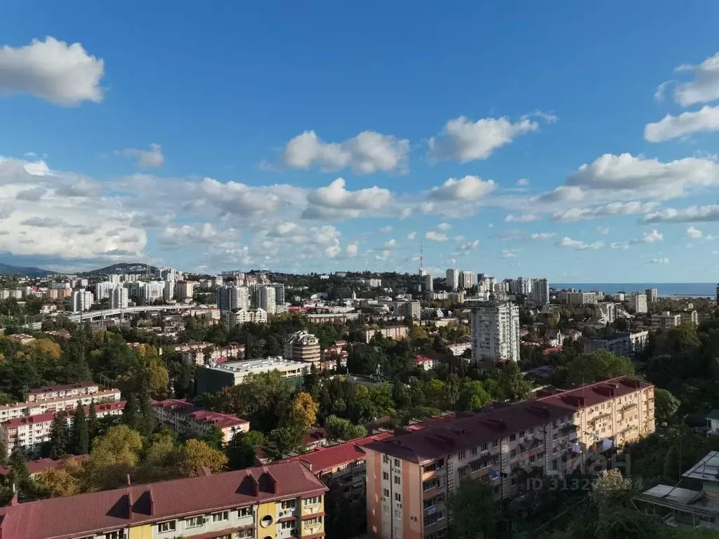 Свободной планировки кв. Краснодарский край, Сочи Виноградная ул., ... - Фото 0