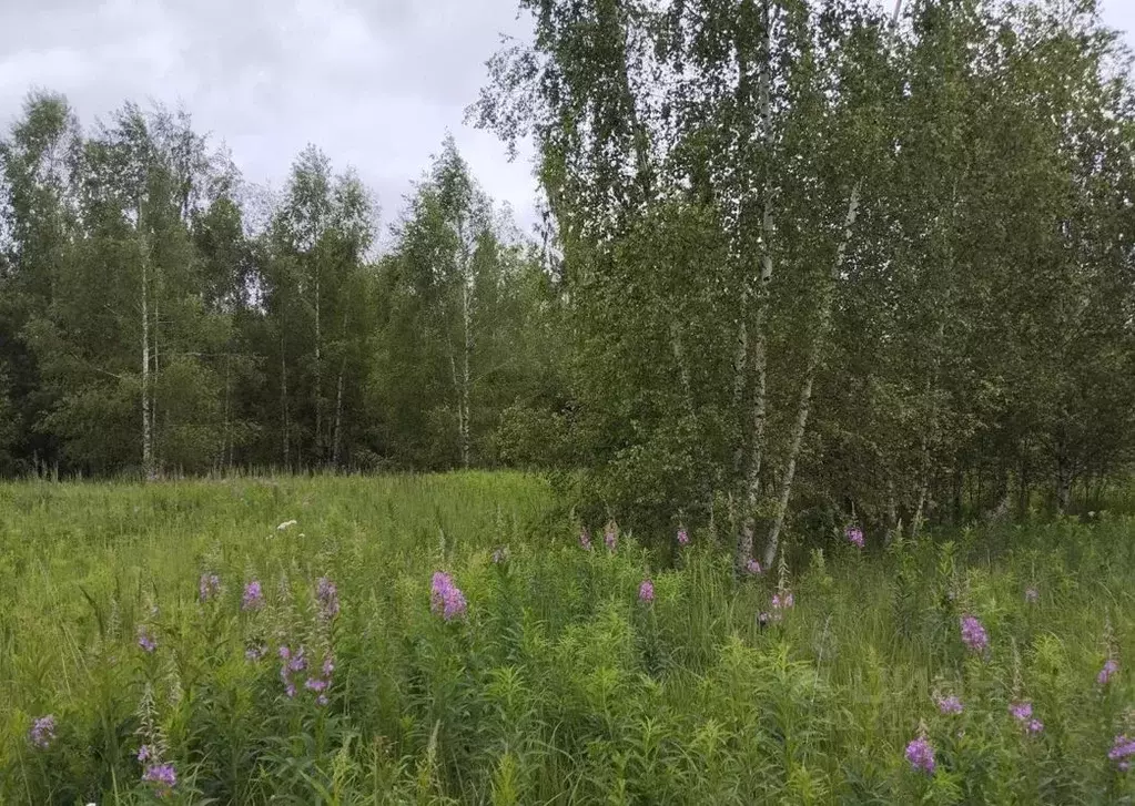 Участок в Московская область, Дмитровский муниципальный округ, д. ... - Фото 1