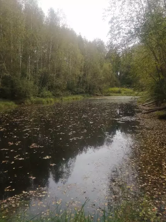 Дом в Владимирская область, Александровский район, Каринское ... - Фото 0