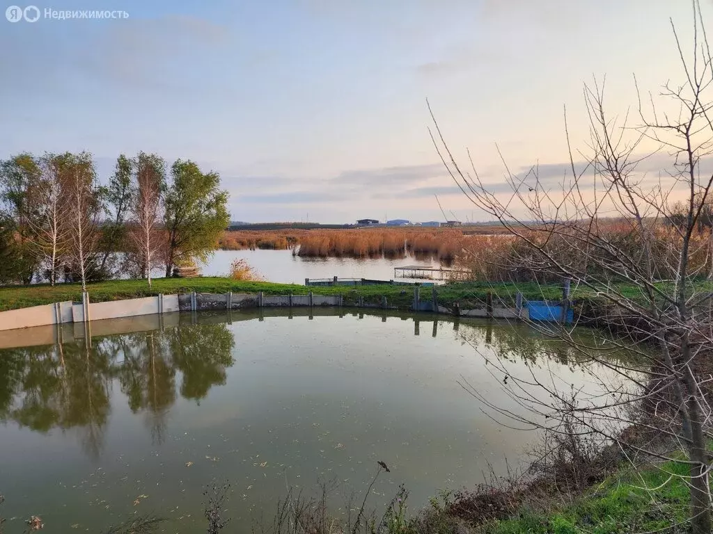 Дом в Выселковский район, Бузиновское сельское поселение, станица ... - Фото 2