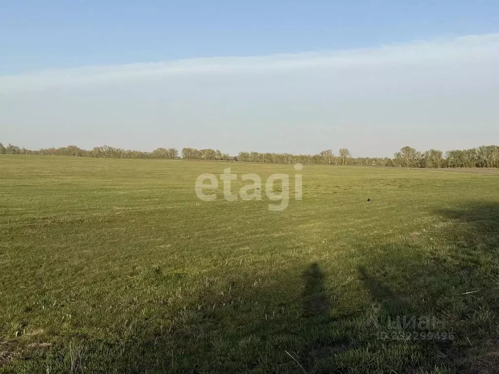 Участок в Алтайский край, Алтайский район, с. Булатово Центральная ул. ... - Фото 1