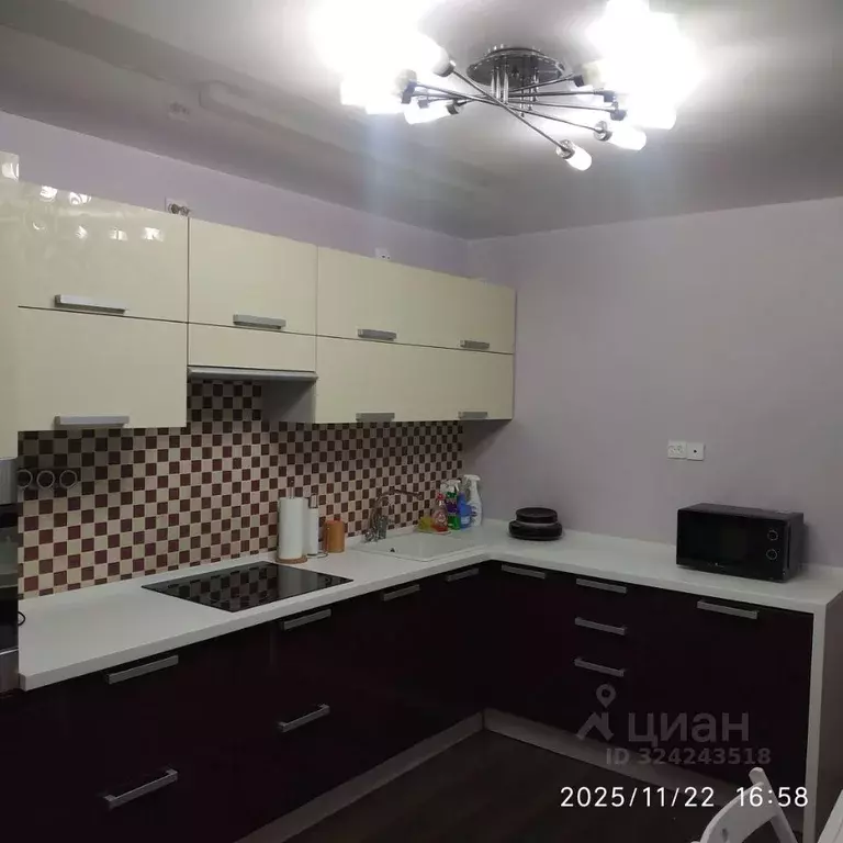 2-к кв. Санкт-Петербург ул. Коллонтай, 23к3 (62.0 м) - Фото 2