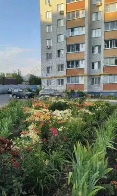 1-к кв. Курская область, Курск просп. Хрущева, 44 (34.9 м) - Фото 2