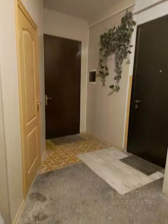 1-к кв. Волгоградская область, Волгоград ул. Гагарина, 12 (35.7 м) - Фото 2