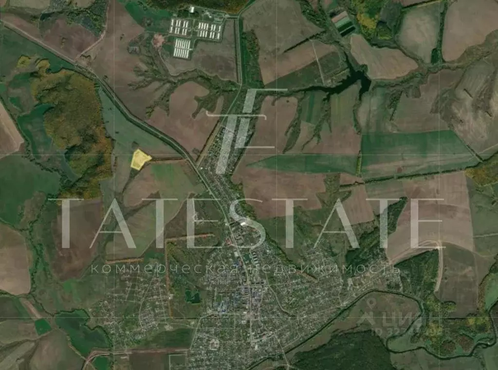 Участок в Татарстан, с. Пестрецы ул. Казанская, 72 (600.0 сот.) - Фото 1