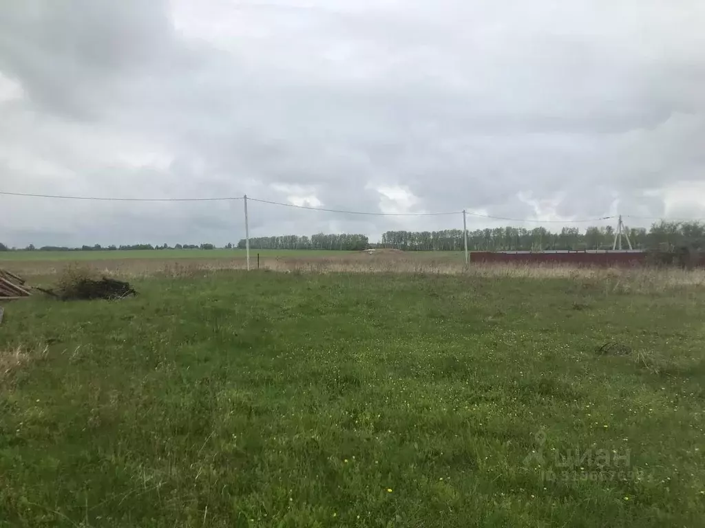 Участок в Московская область, Зарайск муниципальный округ, д. ... - Фото 0