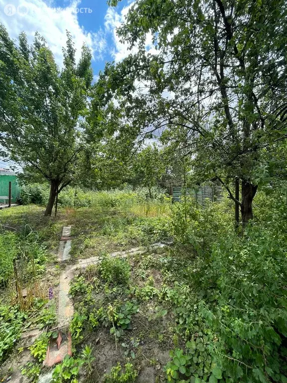 Участок в Армавир, улица Ворошилова, 123 (6 м) - Фото 1