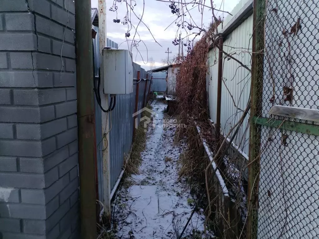 Участок в Санкт-Петербург, Санкт-Петербург, Петергоф Озерковое СНТ,  ... - Фото 2