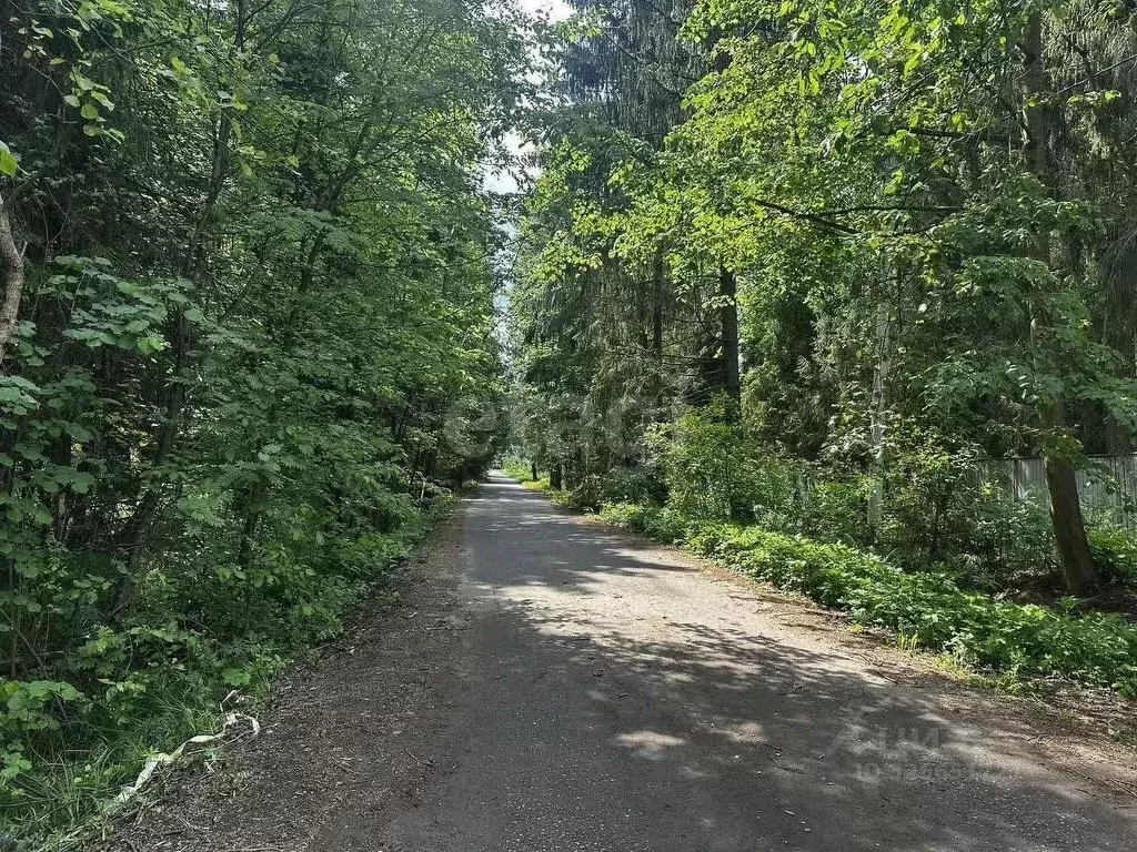 Участок в Московская область, Пушкинский городской округ, ... - Фото 2