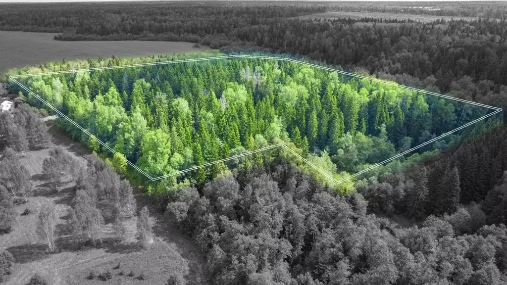 Участок в Московская область, Одинцовский городской округ, Рига лес кп ... - Фото 1