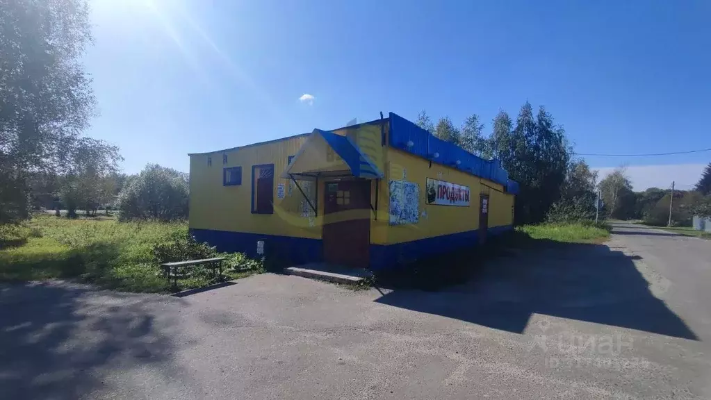 Торговая площадь в Московская область, Раменский муниципальный округ, ... - Фото 1