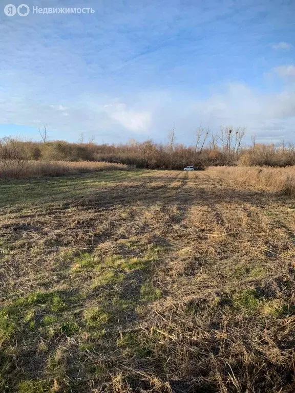 Участок в Амурская область, Благовещенский муниципальный округ, село ... - Фото 1
