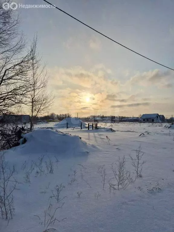 Участок в Новосибирский район, Берёзовский сельсовет, ТСН Тандем (9.1 ... - Фото 1