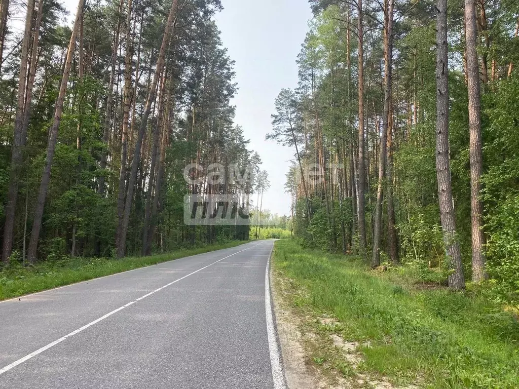 Участок в Калужская область, Калуга городской округ, д. Сивково ул. ... - Фото 1