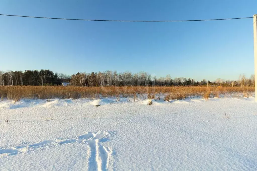 Участок в Тюменская область, Тюменский район, с. Каменка  (10.0 сот.) - Фото 1