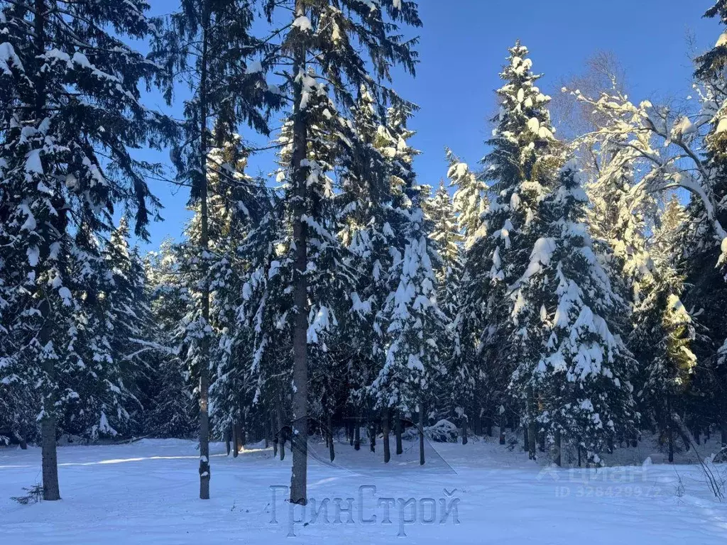 Участок, 21 сот., поселения (ижс) - Фото 1