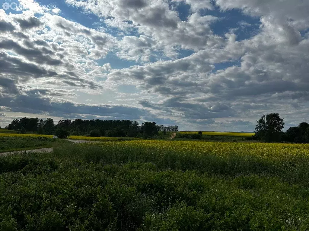 Дом в Нижегородская область, Богородский муниципальный округ, деревня ... - Фото 0