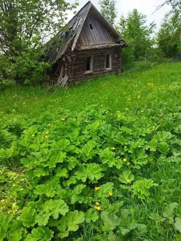 Участок в Кировская область, Юрьянский район, Загарское с/пос, д. ... - Фото 0