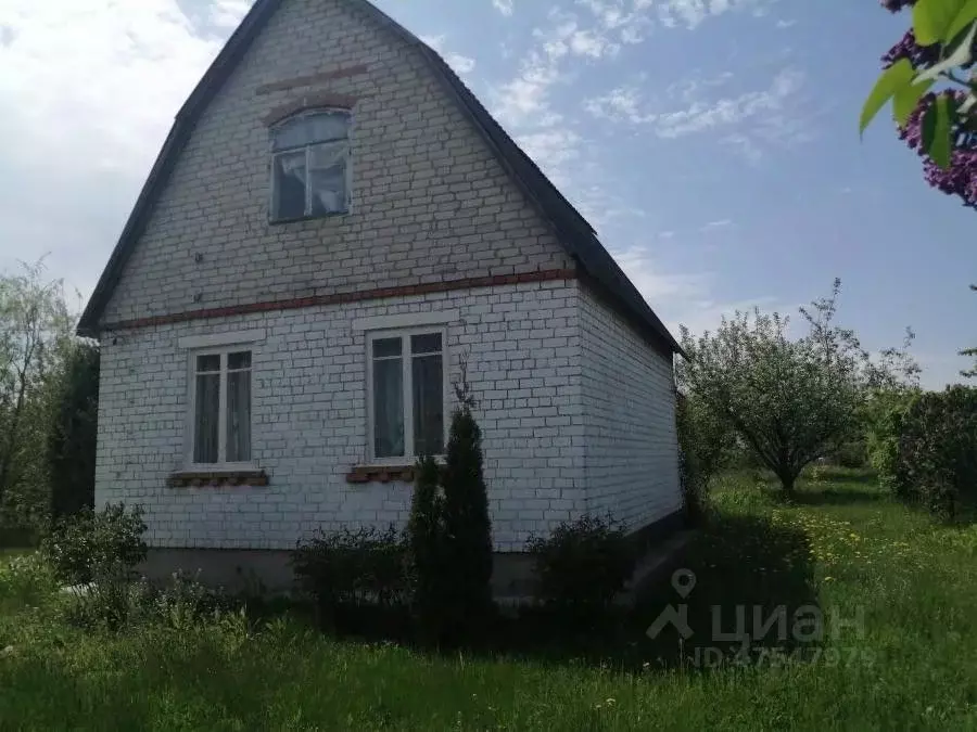 Купить Дачу В Рамонском Районе Озон