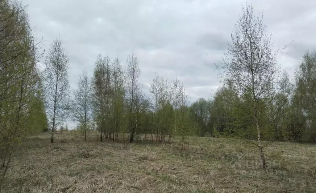 Участок в Московская область, Дмитровский муниципальный округ, д. ... - Фото 0