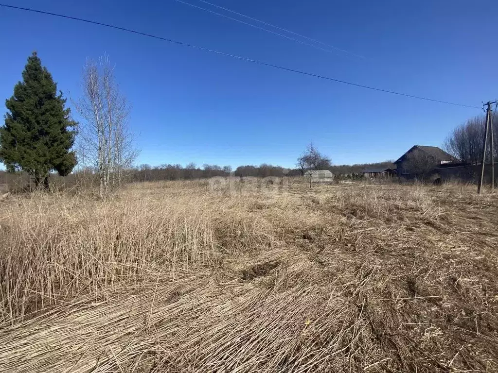 Участок в Ярославская область, Ярославский муниципальный округ, д. ... - Фото 0