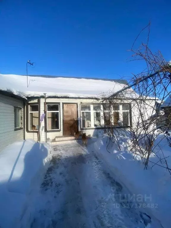 Дом в Амурская область, Серышевский муниципальный округ, с. Бочкаревка ... - Фото 1