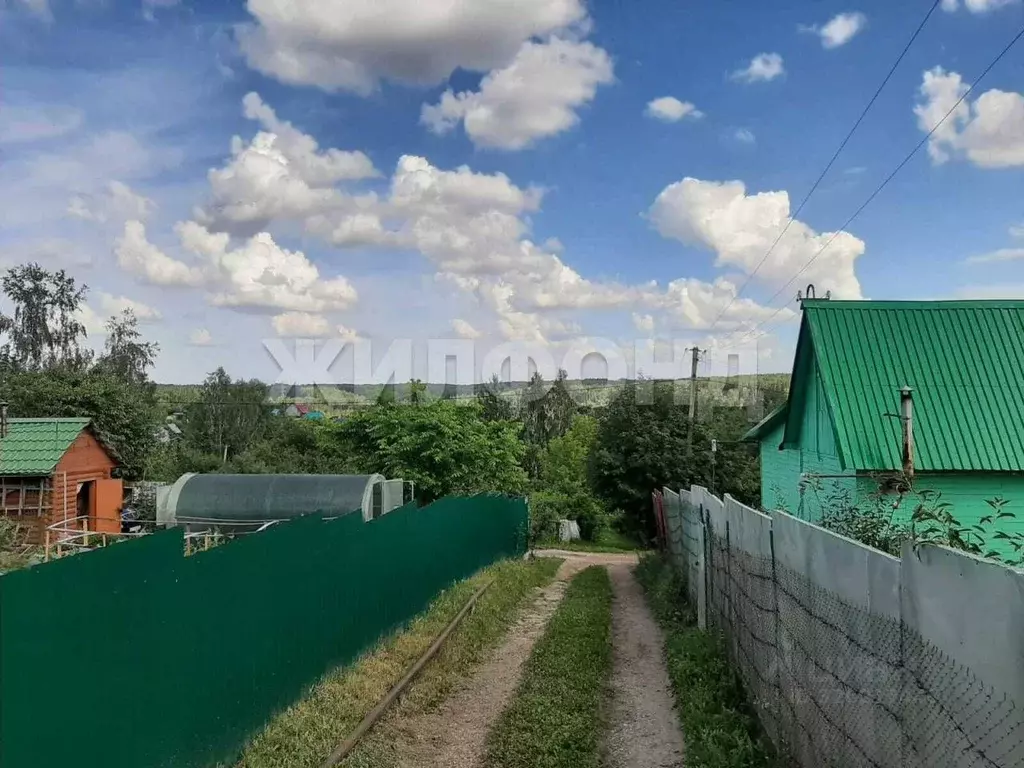 Участок в Новосибирская область, Новосибирск  (5.0 сот.) - Фото 2