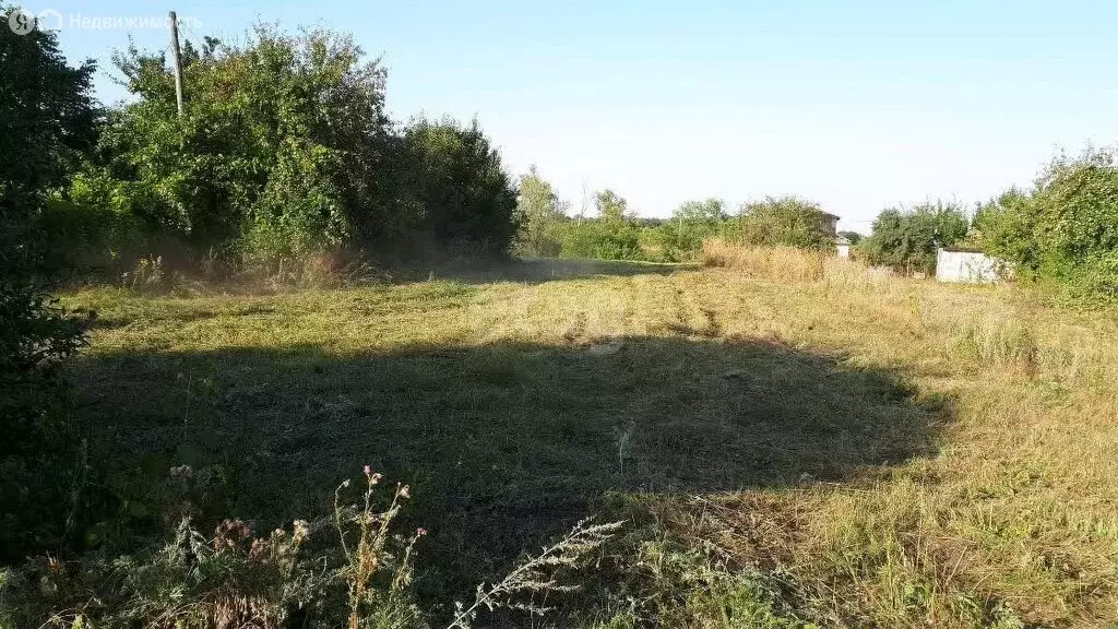 Участок в Воронежская область, Хохольское городское поселение, посёлок ... - Фото 0