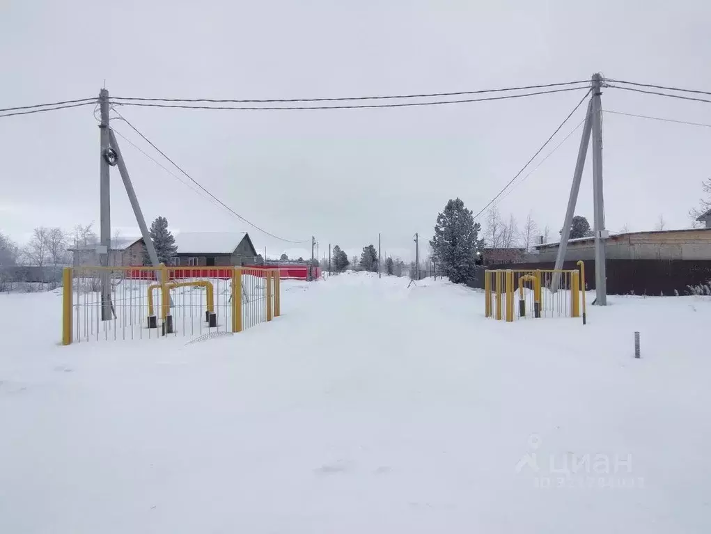 Участок в Ямало-Ненецкий АО, Новый Уренгой ул. Сурикова, 25 (6.0 сот.) - Фото 2