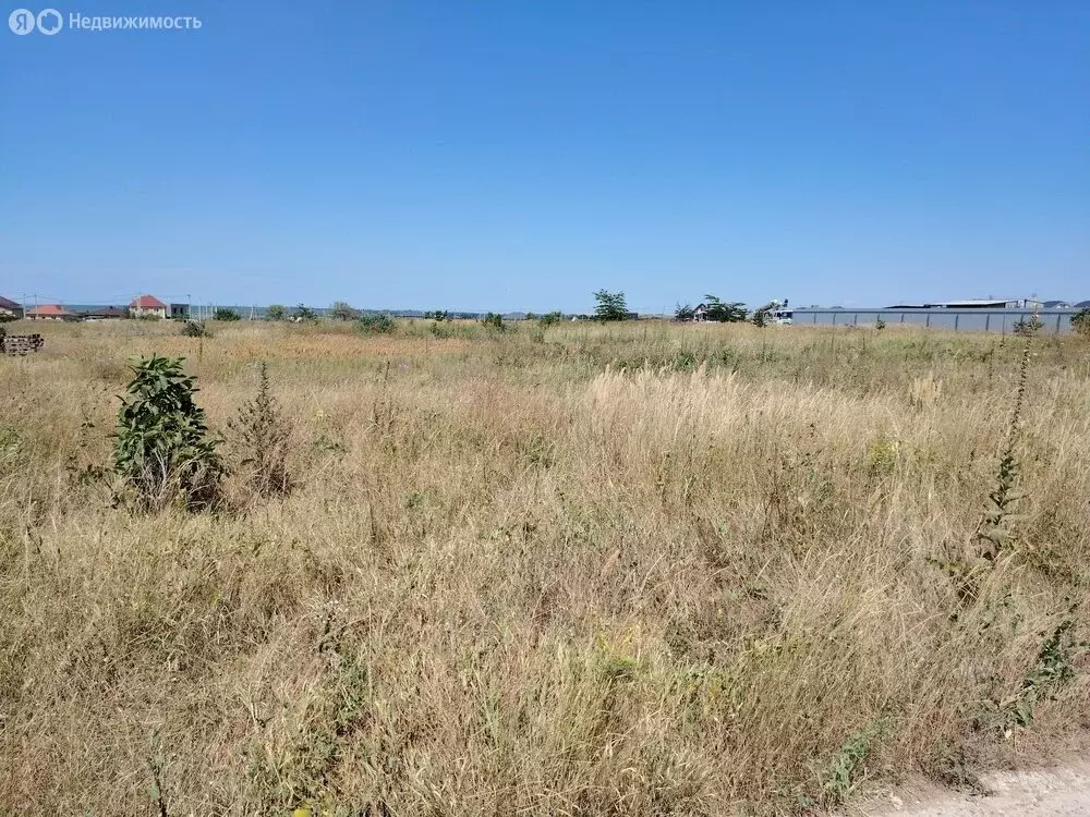 Участок в Краснодарский край, муниципальный округ Анапа, хутор ... - Фото 0