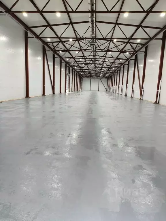 Склад в Санкт-Петербург пос. Шушары, проезд Курьерский, 8 (1000 м) - Фото 2