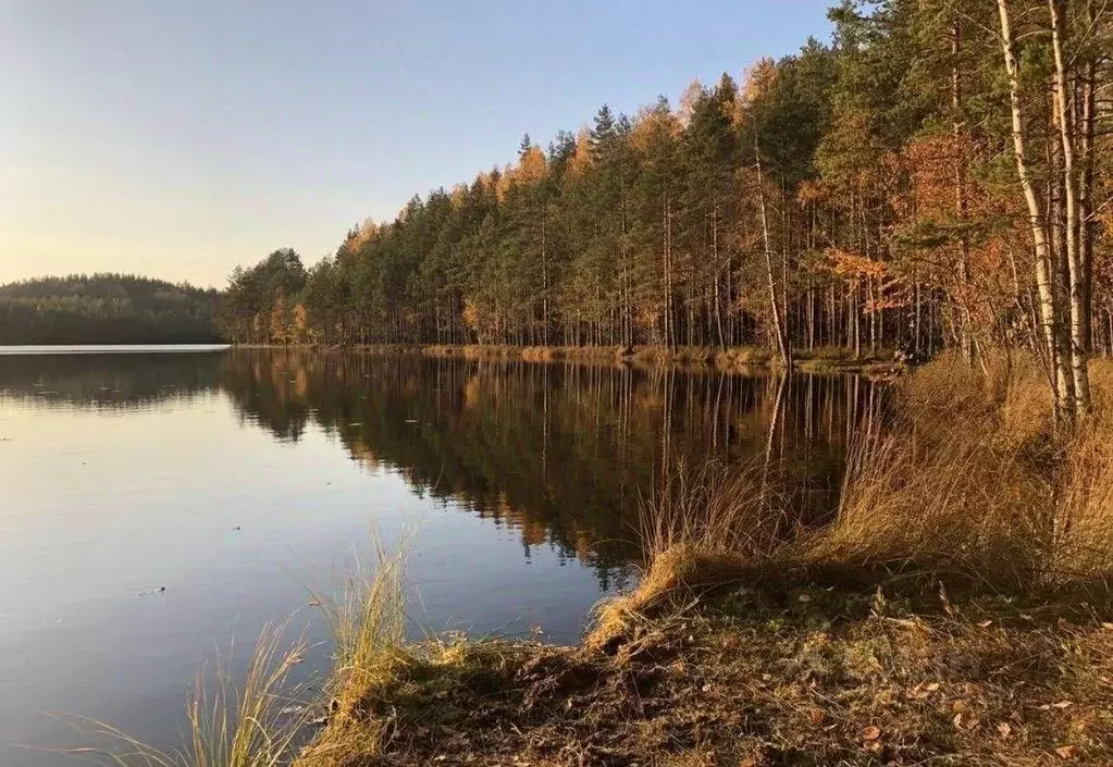 Участок, 9.8 сот., сельхоз (снт или днп) - Фото 0