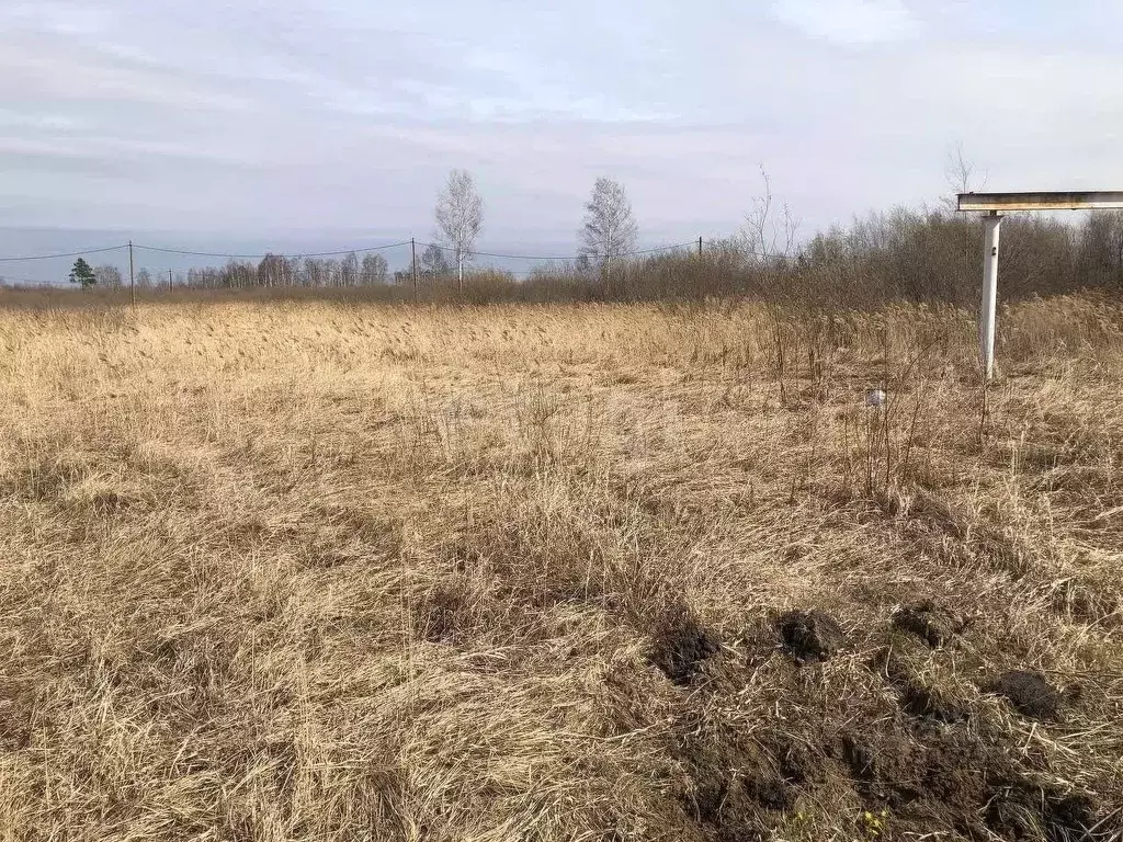 Участок в Тюменская область, Тюмень Липовый Остров СНТ, ул. 16-я ... - Фото 1