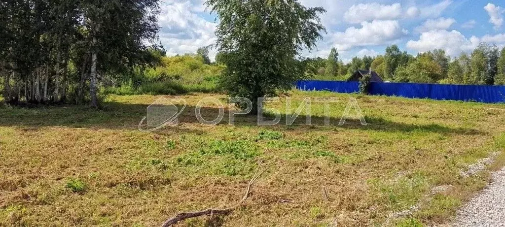 Участок в Тюменская область, Нижнетавдинский муниципальный округ, ... - Фото 1