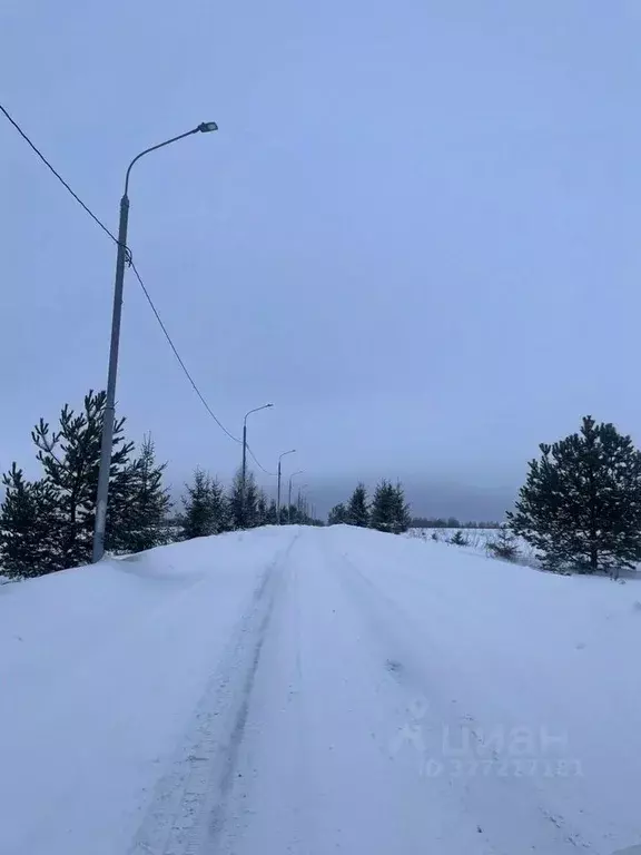 Участок в Московская область, Клин городской округ, Селинские Дачи ДНП ... - Фото 1