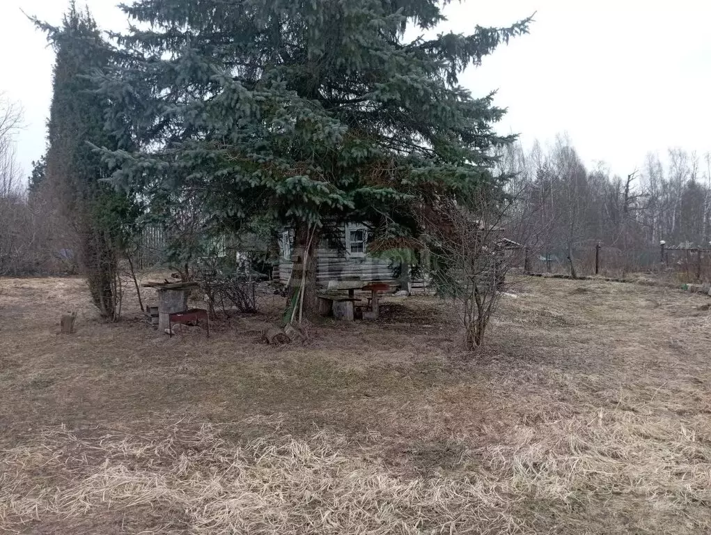 Участок в Костромской район, Чернопенское сельское поселение, деревня ... - Фото 2