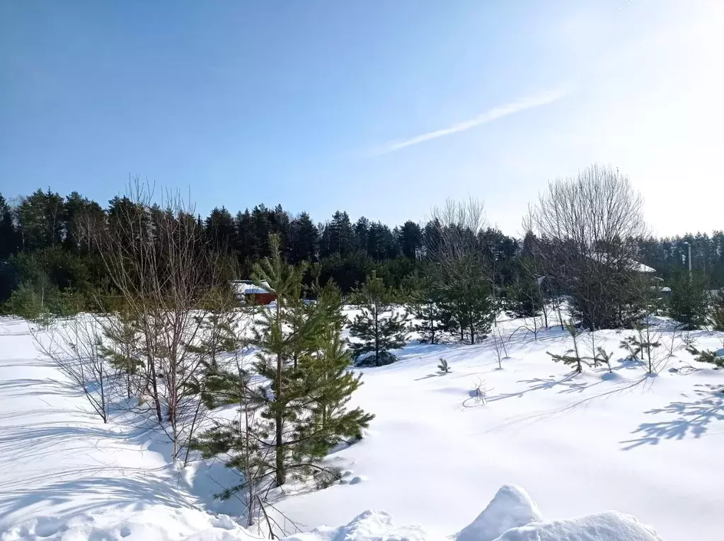 Участок в Владимирская область, Киржачский район, Кипревское ... - Фото 1