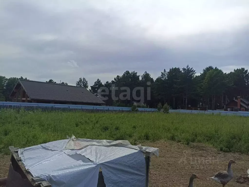 Участок в Кемеровская область, Топки ул. Юбилейная, 7 (12.0 сот.) - Фото 1