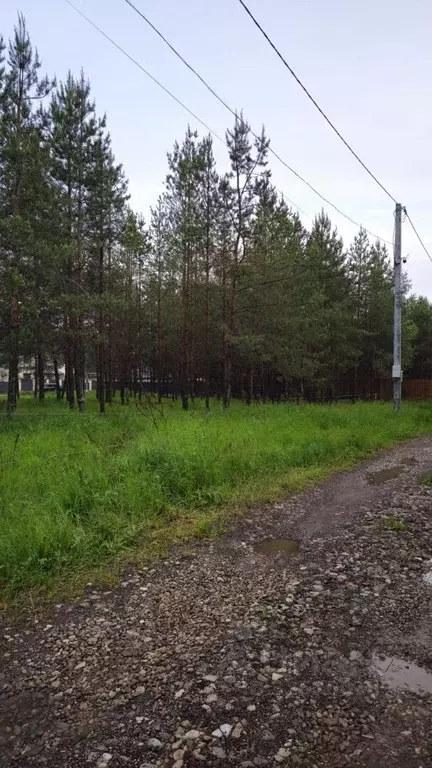 Участок в Татарстан, Лаишевский район, Орловское с/пос, д. Орел ул. ... - Фото 1